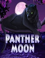 พบกับ สวี ท โบ นั น ซ่า เครดิต ฟรี เล่นง่ายจ่ายจริง